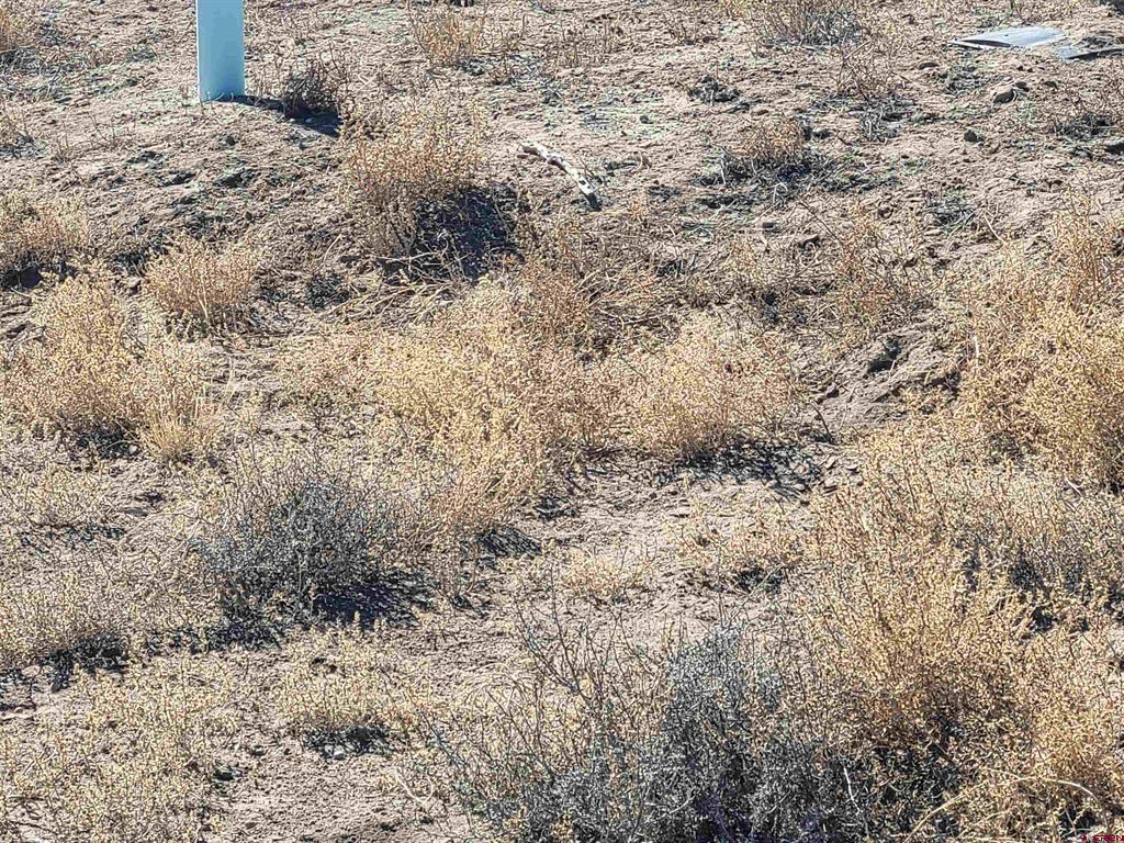 16073 Co Rd 55 Road Property Photo 9