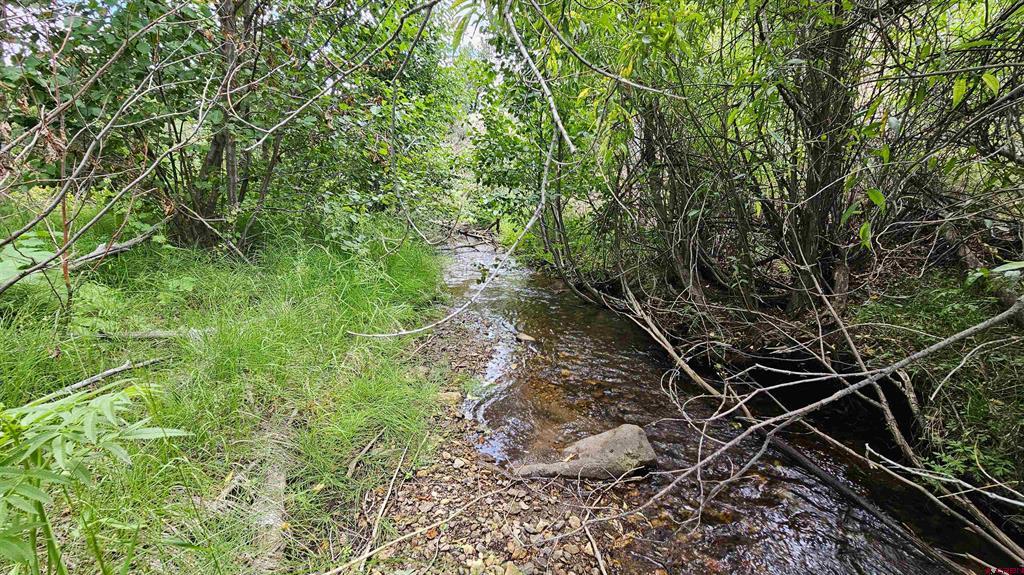 175 Bear Cub Hollow Property Photo