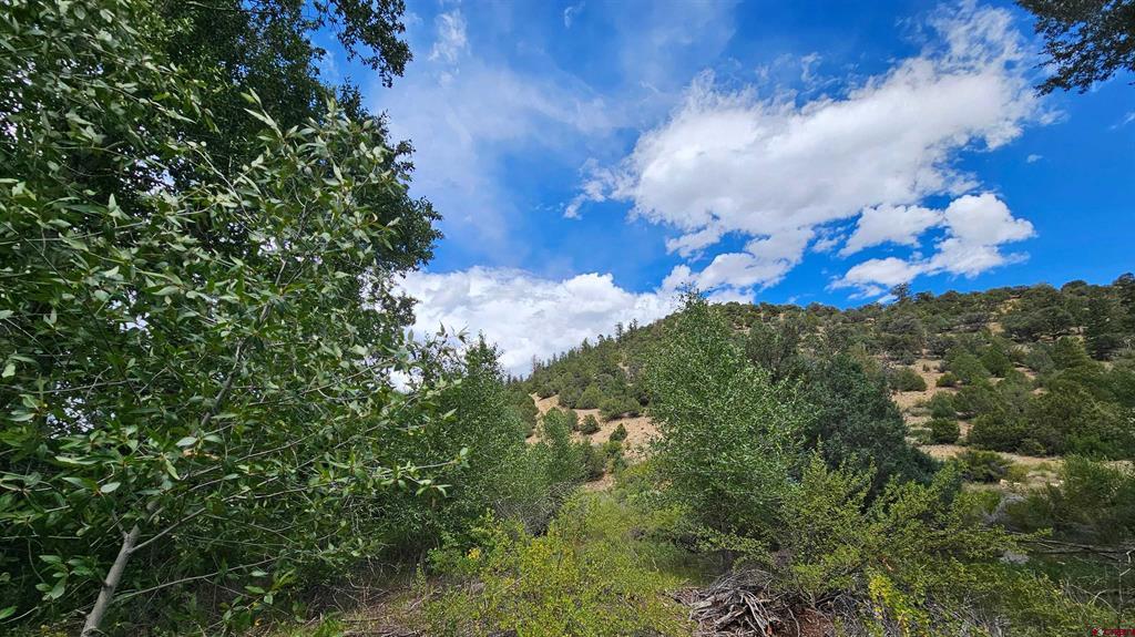 175 Bear Cub Hollow Property Photo 2