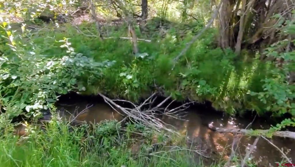 175 Bear Cub Hollow Property Photo 3