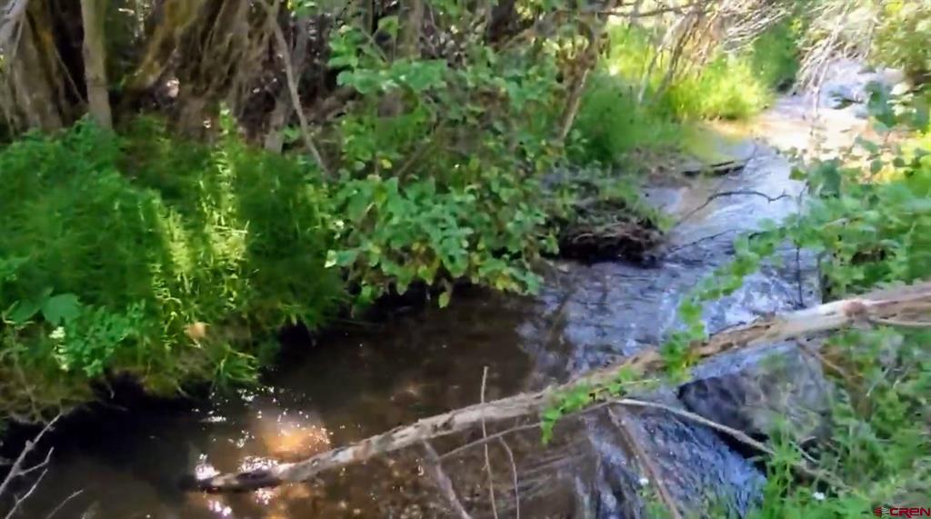 175 Bear Cub Hollow Property Photo 4