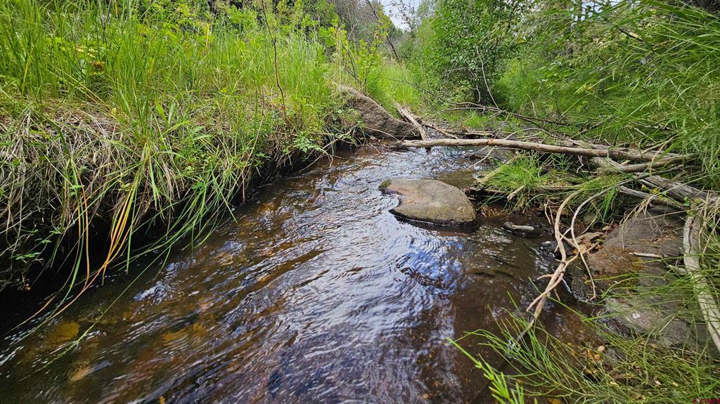 175 Bear Cub Hollow Property Photo 6