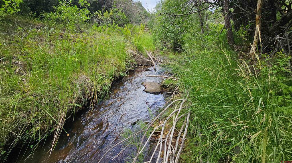 175 Bear Cub Hollow Property Photo 7