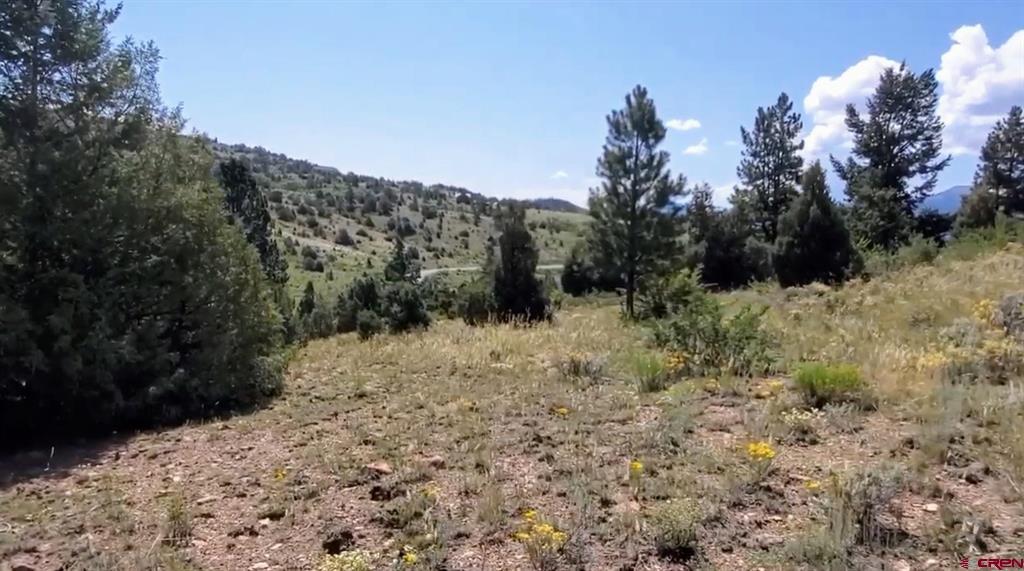 175 Bear Cub Hollow Property Photo 8
