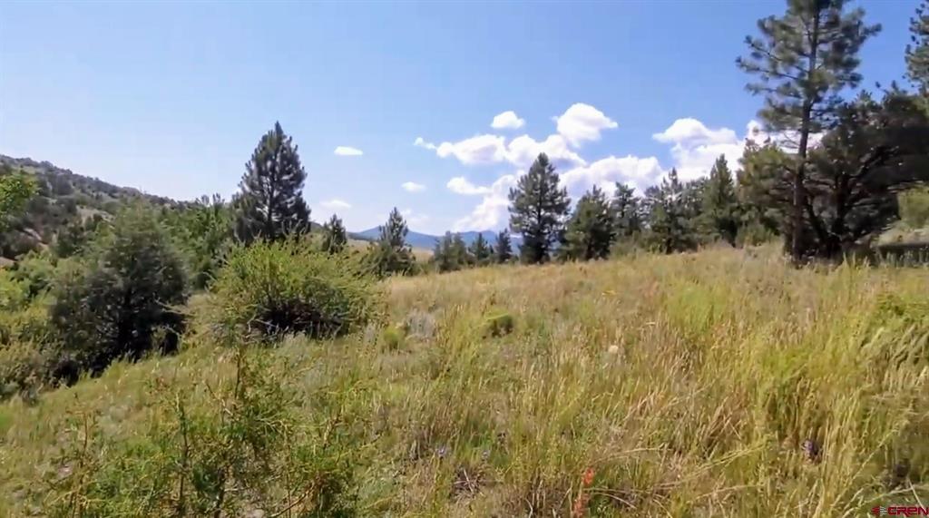 175 Bear Cub Hollow Property Photo 9