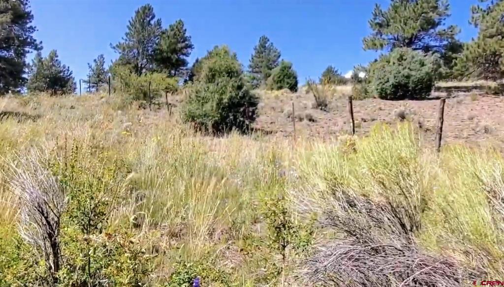 175 Bear Cub Hollow Property Photo 10
