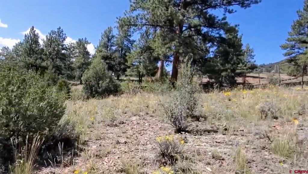 175 Bear Cub Hollow Property Photo 11