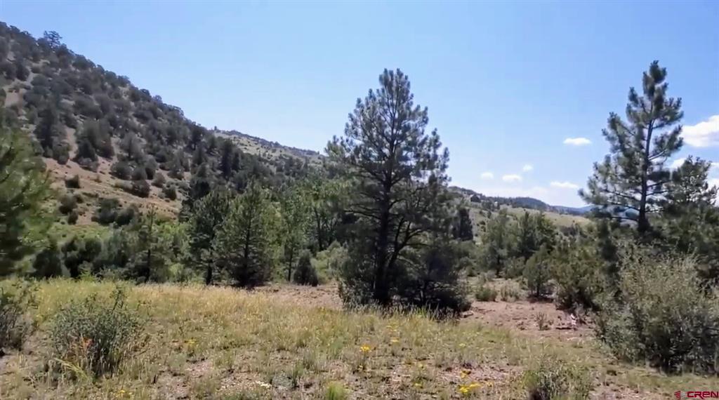 175 Bear Cub Hollow Property Photo 12
