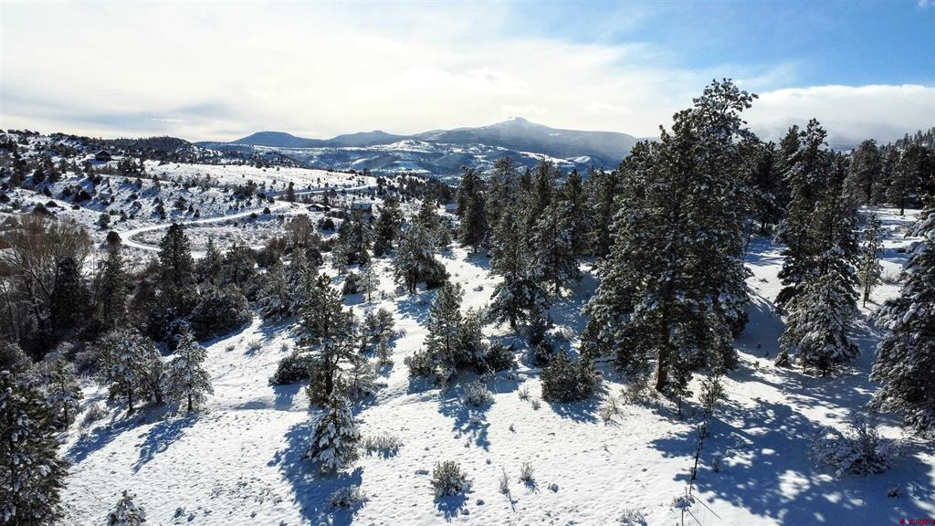 175 Bear Cub Hollow Property Photo 13