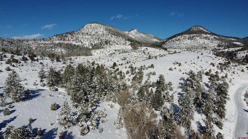 175 Bear Cub Hollow Property Photo 14