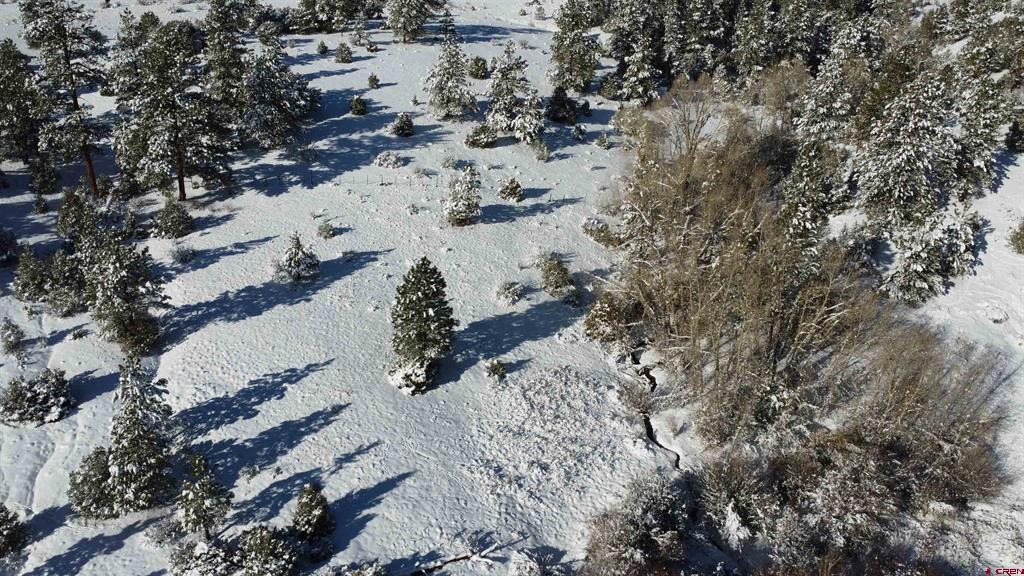 175 Bear Cub Hollow Property Photo 16