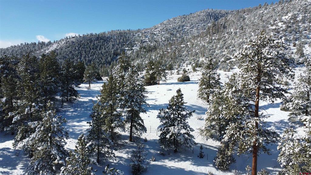 175 Bear Cub Hollow Property Photo 18