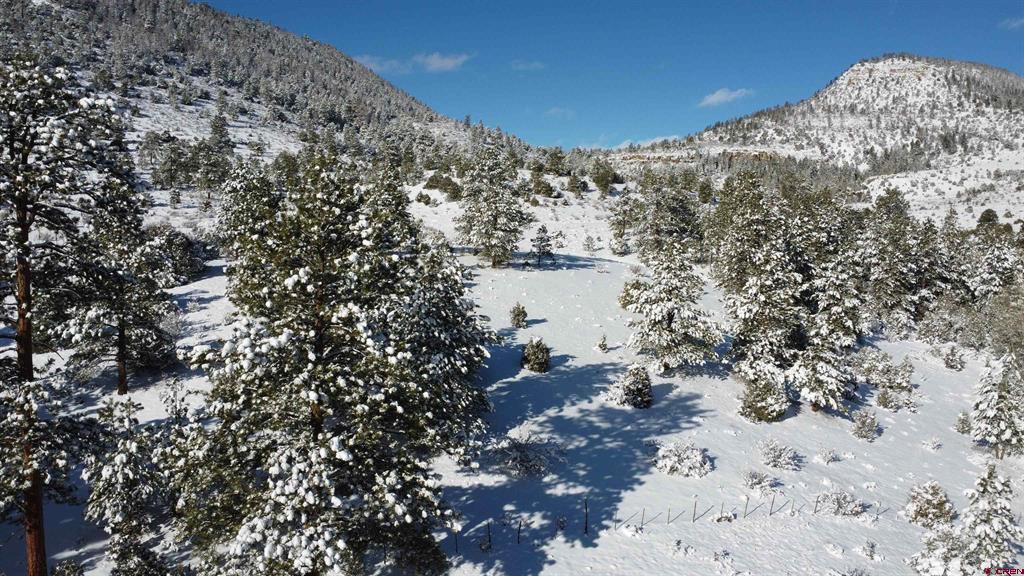 175 Bear Cub Hollow Property Photo 19