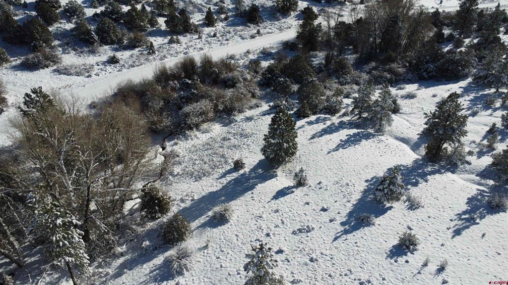 175 Bear Cub Hollow Property Photo 20
