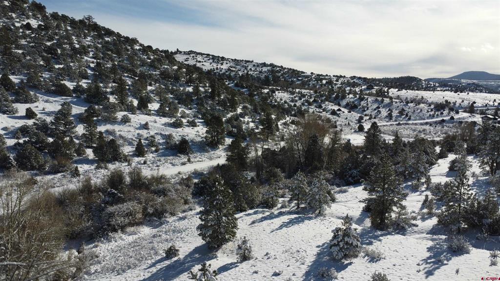 175 Bear Cub Hollow Property Photo 21