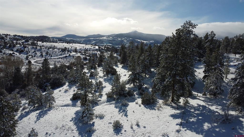 175 Bear Cub Hollow Property Photo 22