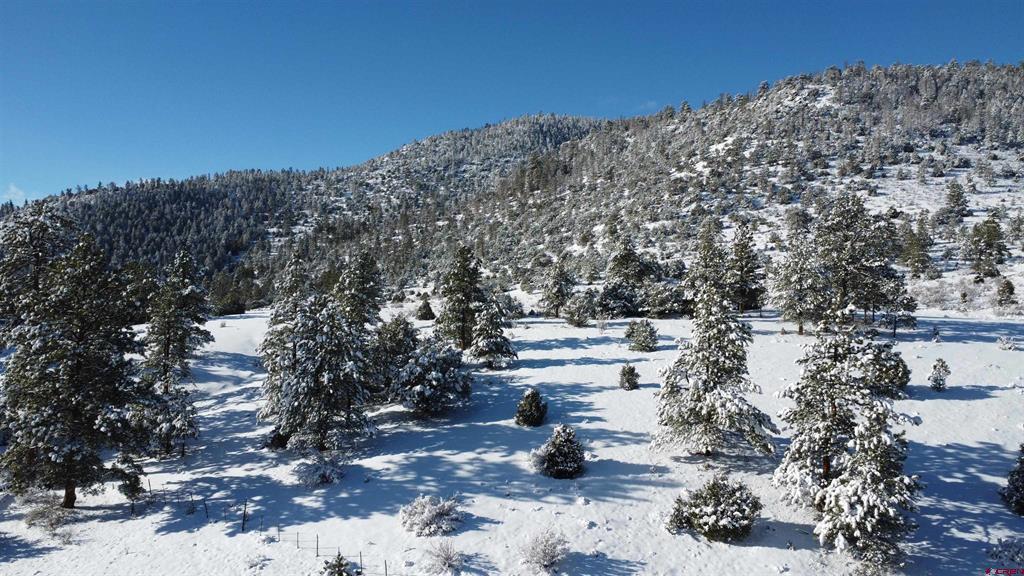 175 Bear Cub Hollow Property Photo 23