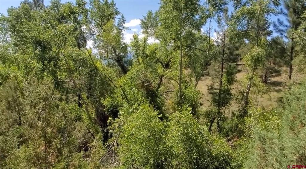 175 Bear Cub Hollow Property Photo 24