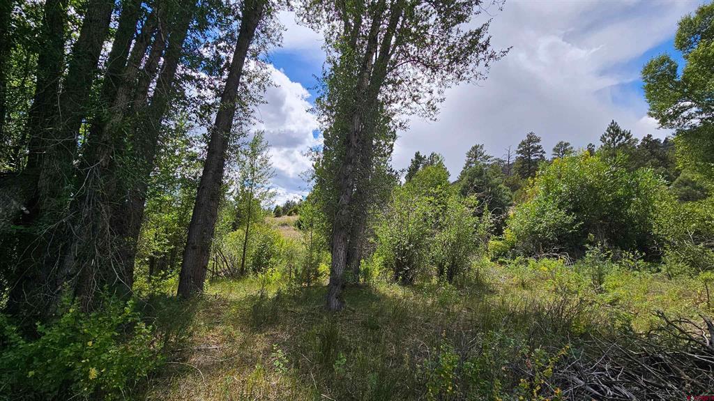 175 Bear Cub Hollow Property Photo 25