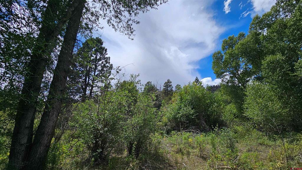 175 Bear Cub Hollow Property Photo 26