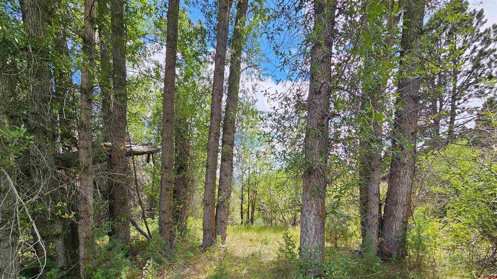 175 Bear Cub Hollow Property Photo 27