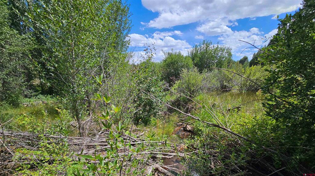 175 Bear Cub Hollow Property Photo 28