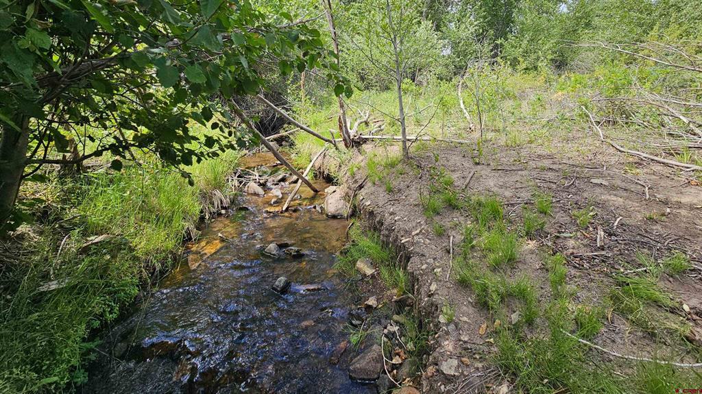 175 Bear Cub Hollow Property Photo 29