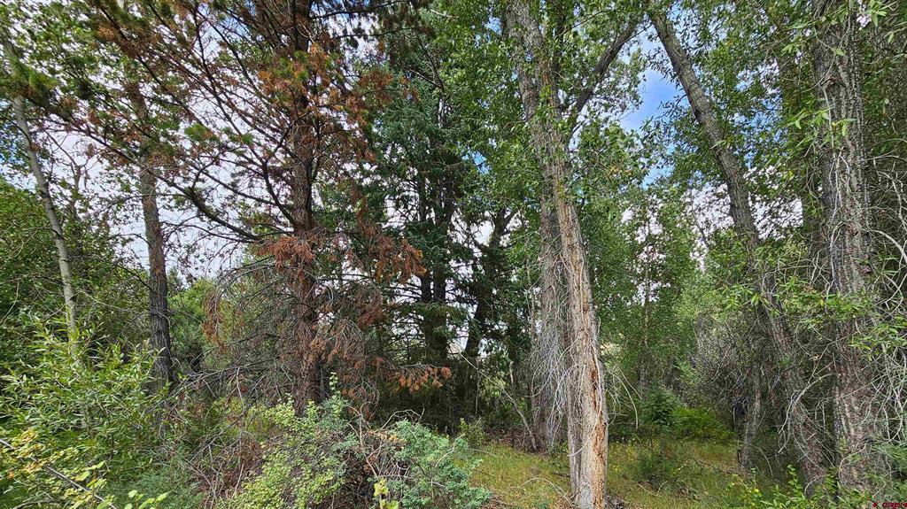 175 Bear Cub Hollow Property Photo 30