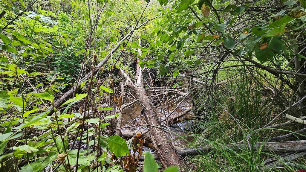 175 Bear Cub Hollow Property Photo 32