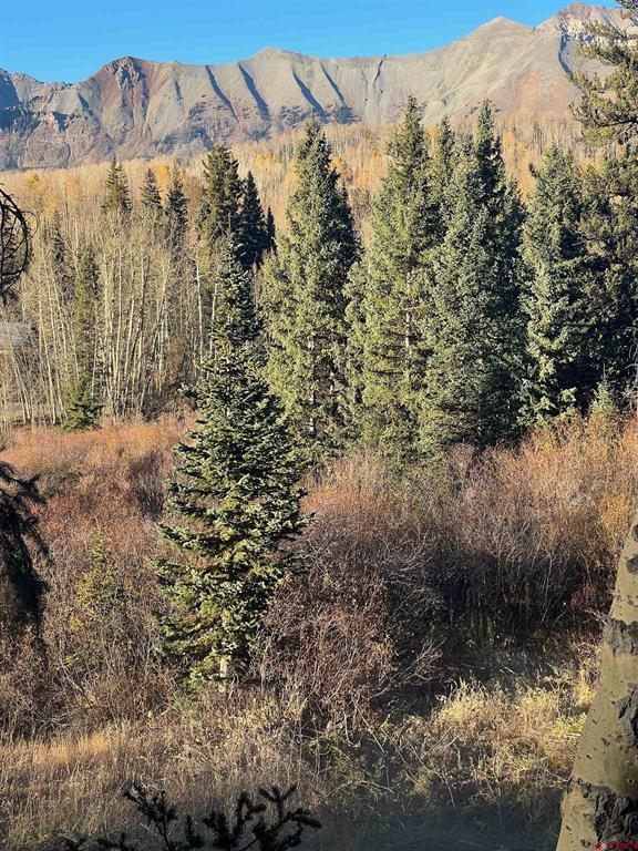 530 Elk Run Property Photo