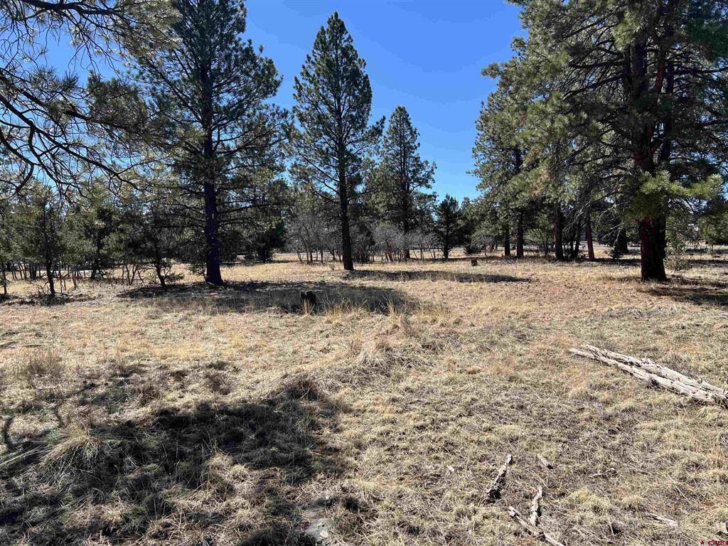 63 Pronghon Lane Property Photo 1