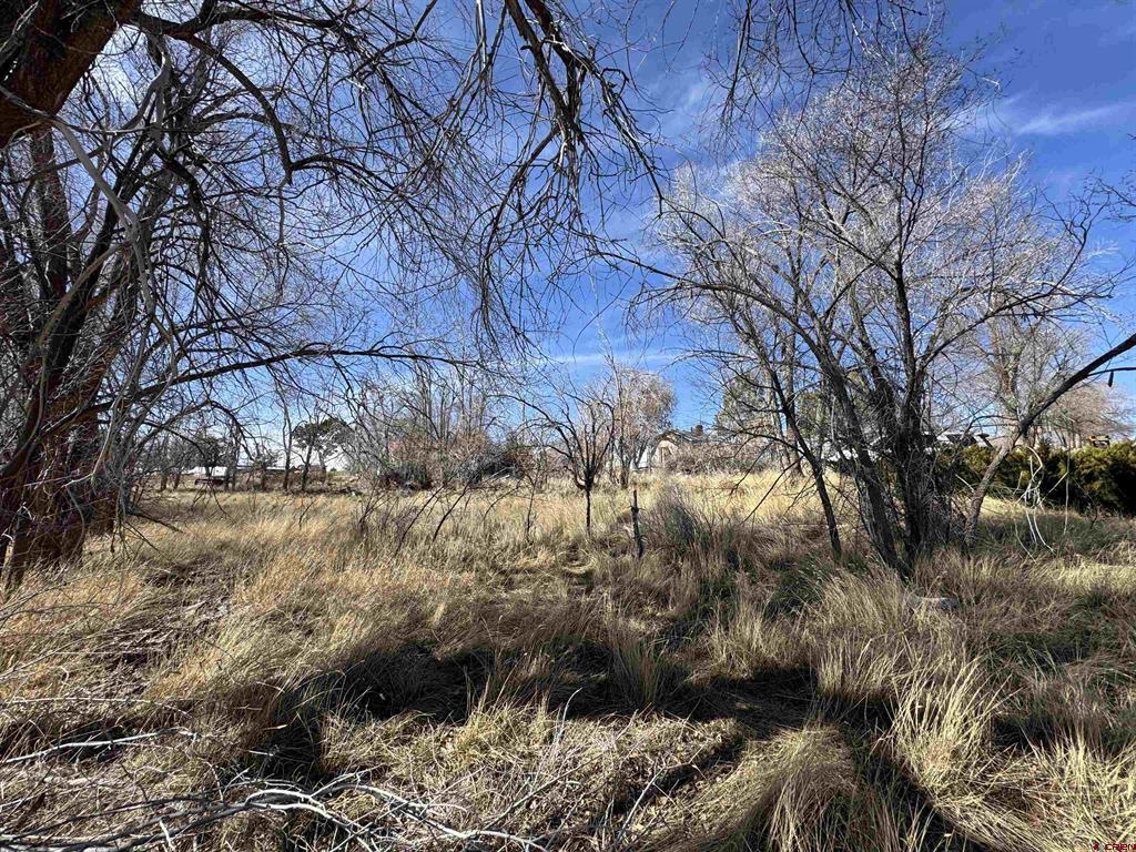 218 Colorado Avenue Property Photo