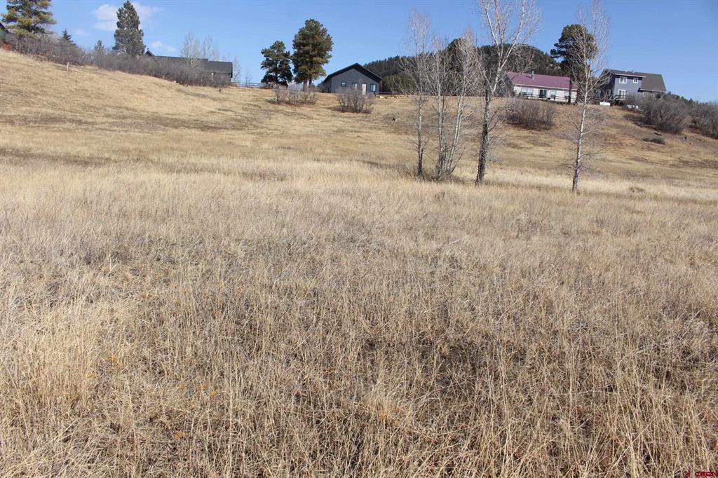 1572 Hills Circle Property Photo 14