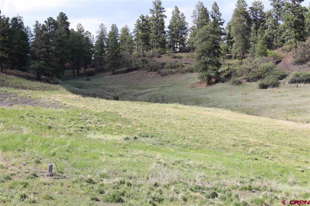 Tbd W Hwy 160 Property Photo 5