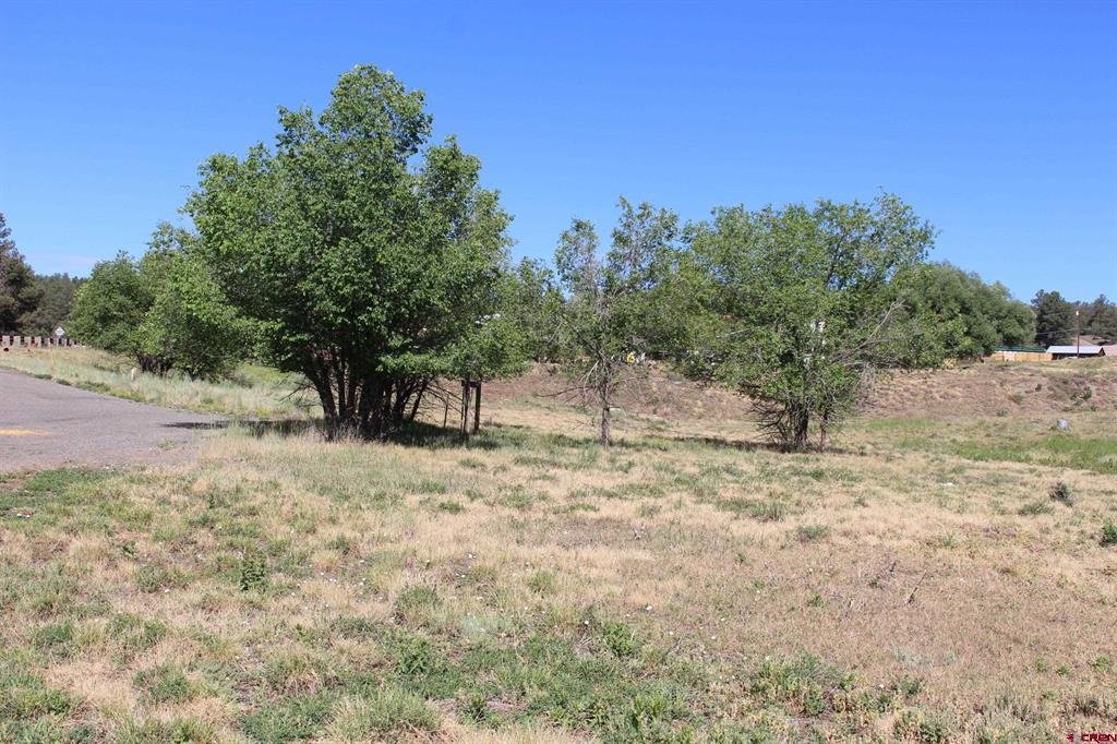 Tbd W Hwy 160 Property Photo 7