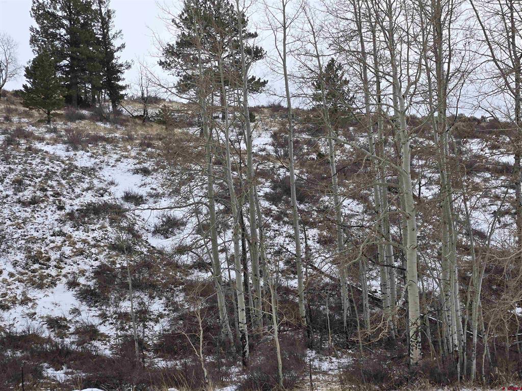 Sdcr Unit R2 Balleroy Property Photo 3