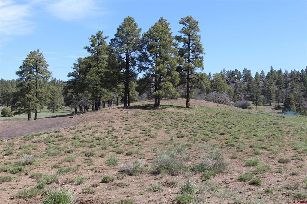 2901 County Road 500 Property Photo