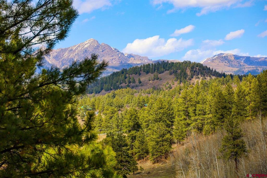 Martinez Mountain Estates 1 03 Cnty Code 00288 Real Estate Listings Main Image