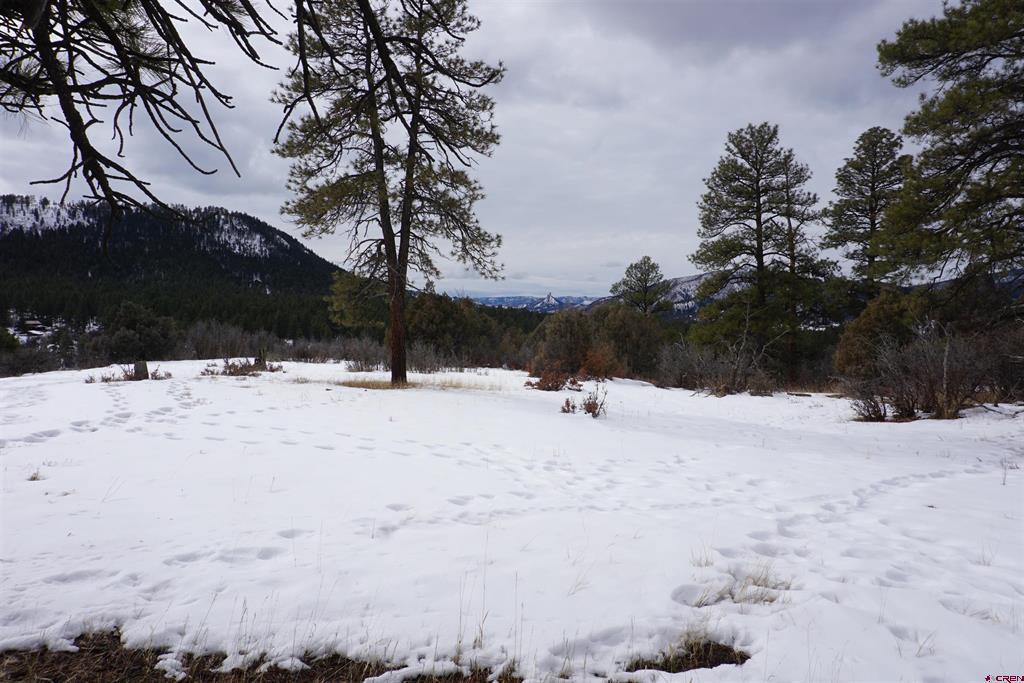 Aspen Springs 5 04 Cnty Code 00060 Real Estate Listings Main Image