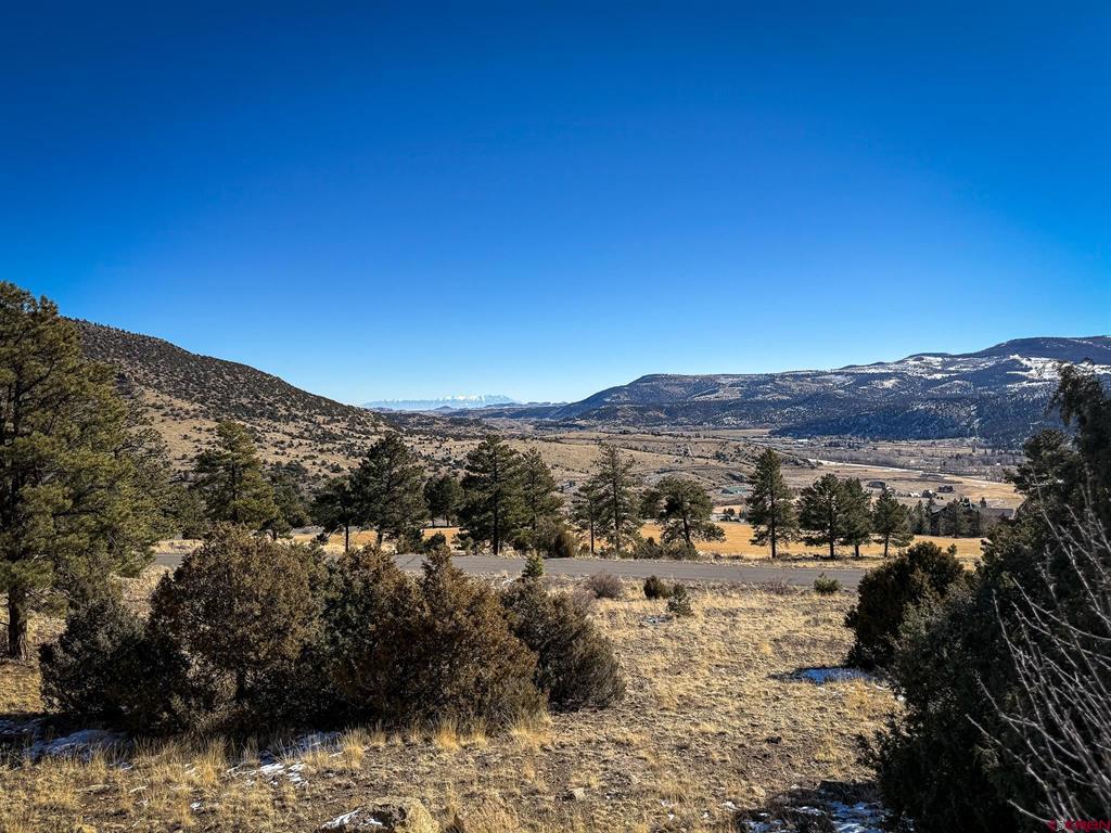 0 Ellingwood Drive Property Photo