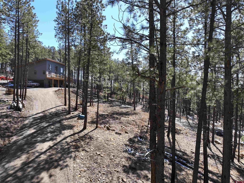 Enchanted Fores Real Estate Listings Main Image