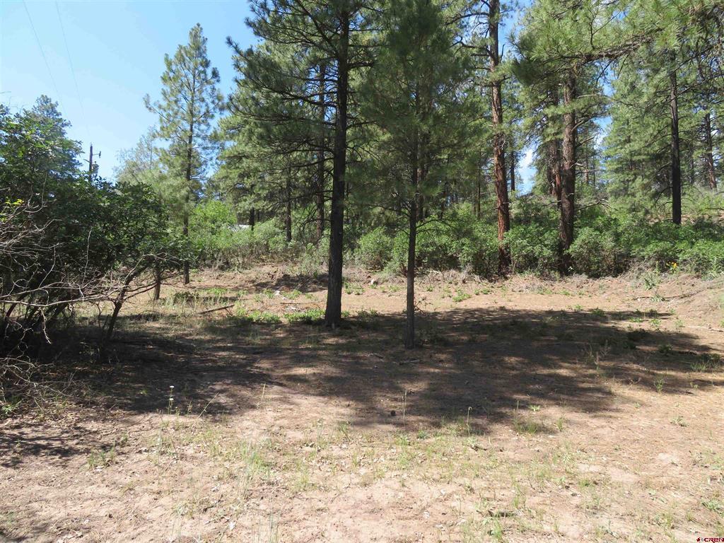 135 Evergreen Drive Property Photo