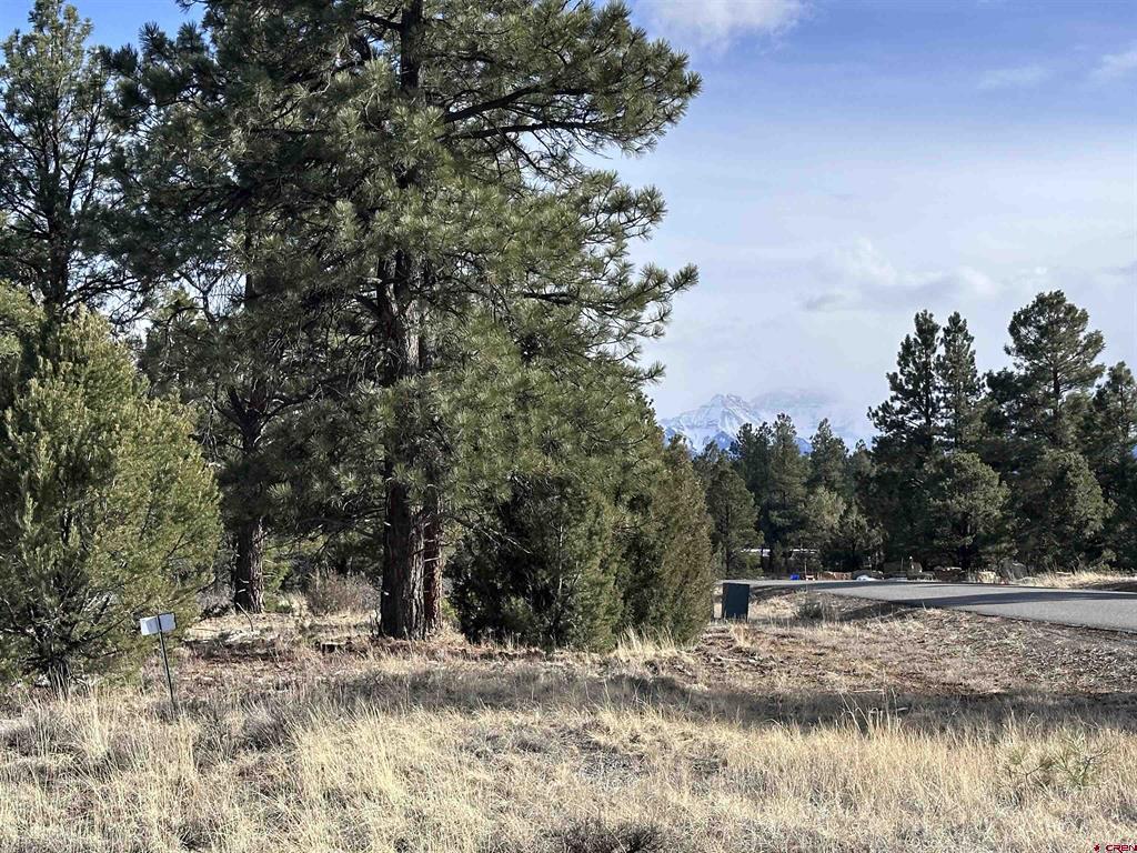 1960 Marmot Drive Property Photo