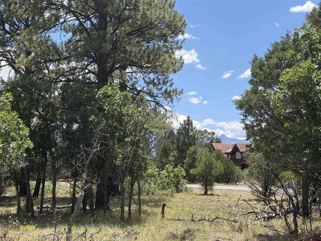 1960 Marmot Drive Property Photo 1