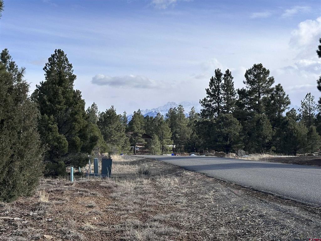 1960 Marmot Drive Property Photo 4