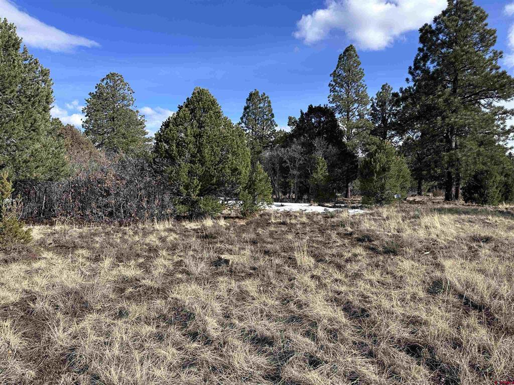 1960 Marmot Drive Property Photo 6