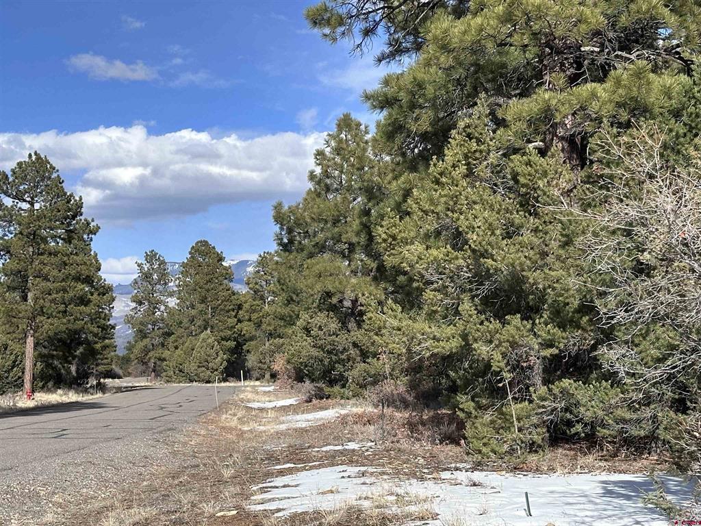 1960 Marmot Drive Property Photo 8