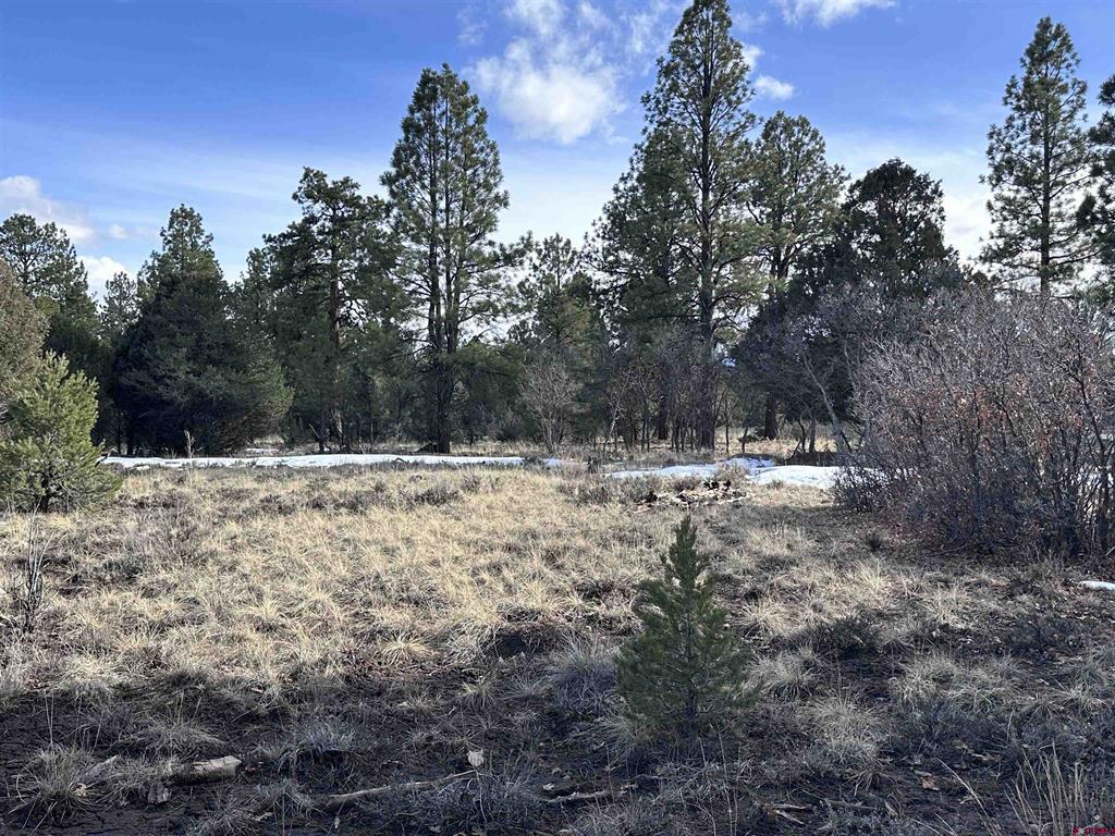 1960 Marmot Drive Property Photo 10