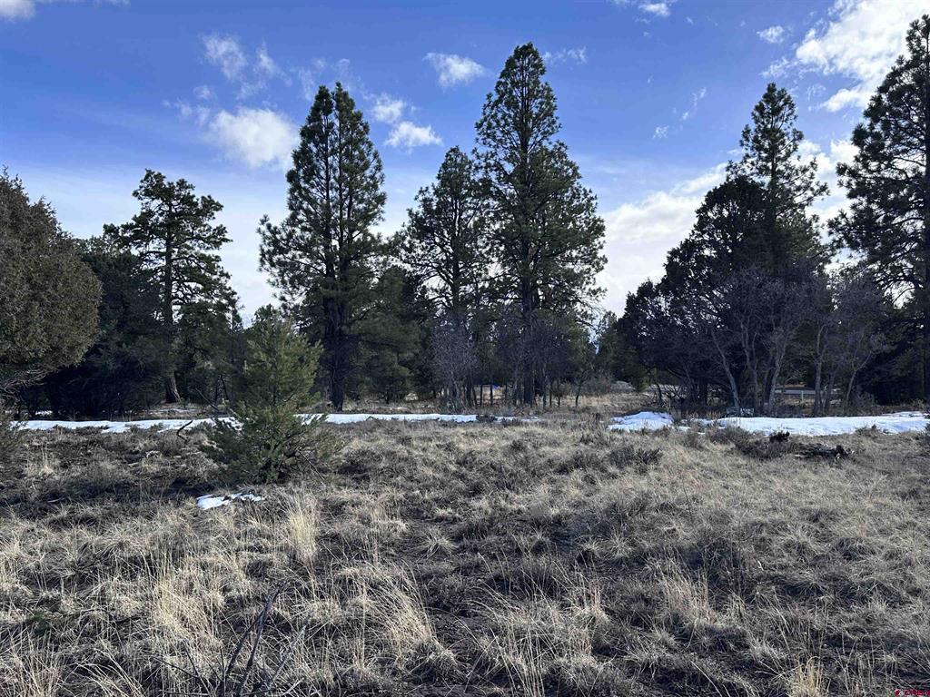1960 Marmot Drive Property Photo 11