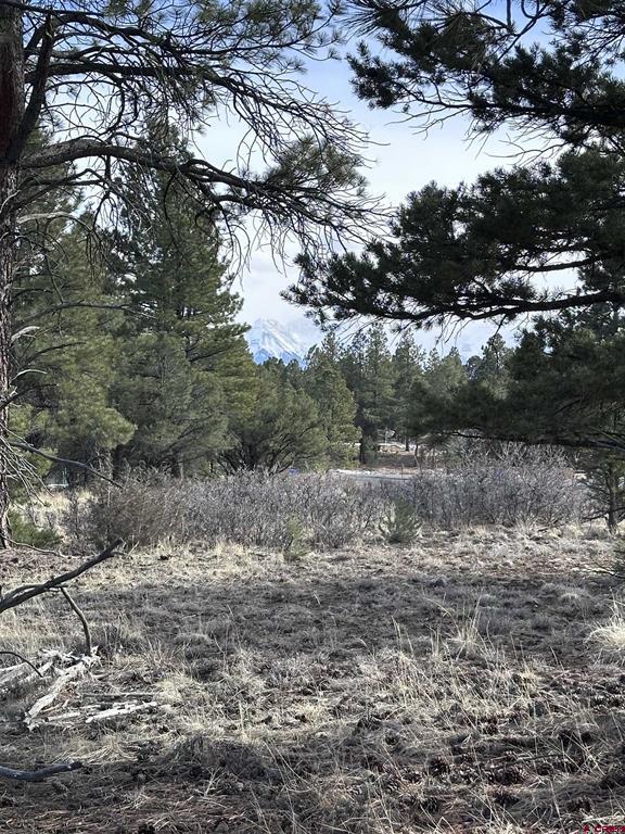1960 Marmot Drive Property Photo 13